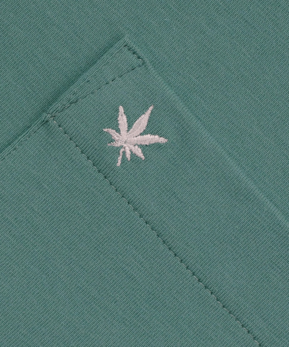 Club Polo Dress - Image 11